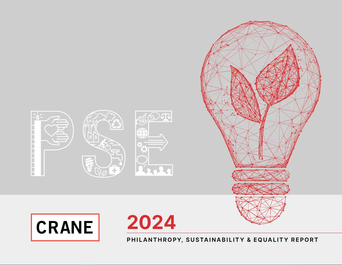 2024 PSE Report